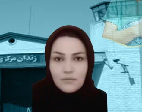 Soada-Khadirzadeh-1-1 Soada-Khadirzadeh-1-1